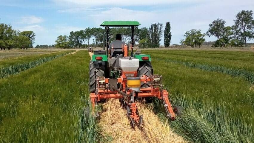 IMG-20211115-WA0006|premio-cita-argentina-2021-domigo-abbadie|premio cita imagen